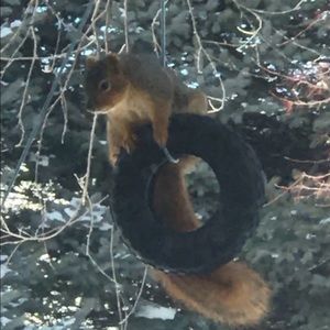 Meet your Posher, Tammy